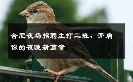 合肥夜场招聘主打二班，开启你的夜晚新篇章