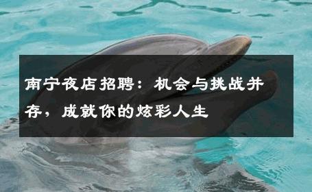 南宁夜店招聘：机会与挑战并存，成就你的炫彩人生