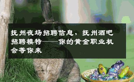 抚州夜场招聘信息，抚州酒吧招聘模特——你的黄金职业机会等你来