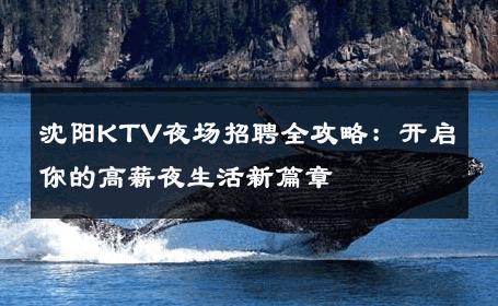沈阳KTV夜场招聘全攻略：开启你的高薪夜生活新篇章