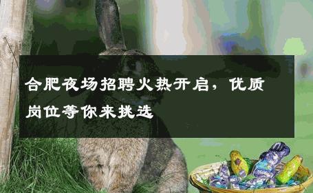 合肥夜场招聘火热开启，优质岗位等你来挑选