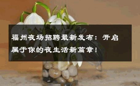 福州夜场招聘最新发布：开启属于你的夜生活新篇章！