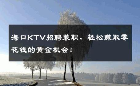 海口KTV招聘兼职，轻松赚取零花钱的黄金机会！
