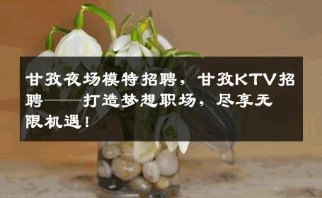 甘孜夜场模特招聘，甘孜KTV招聘——打造梦想职场，尽享无限机遇！