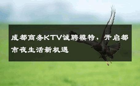 成都商务KTV诚聘模特，开启都市夜生活新机遇