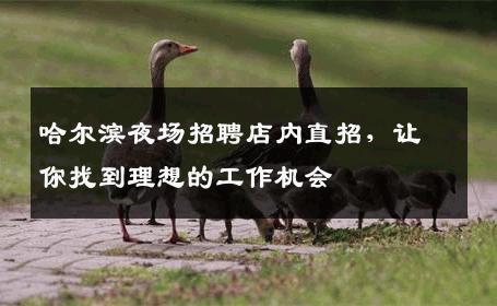 哈尔滨夜场招聘店内直招，让你找到理想的工作机会