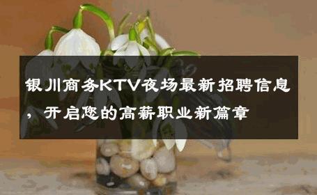 银川商务KTV夜场最新招聘信息，开启您的高薪职业新篇章