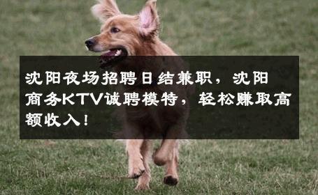 沈阳夜场招聘日结兼职，沈阳商务KTV诚聘模特，轻松赚取高额收入！