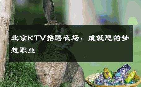 北京KTV招聘夜场，成就您的梦想职业