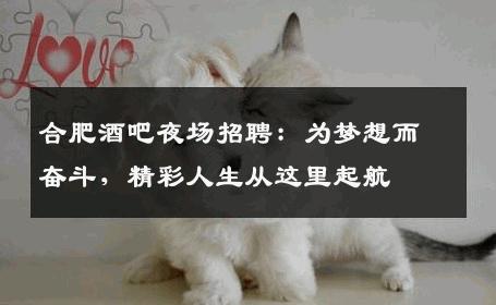 合肥酒吧夜场招聘：为梦想而奋斗，精彩人生从这里起航