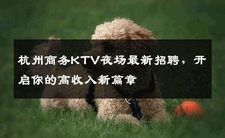 杭州商务KTV夜场最新招聘，开启你的高收入新篇章