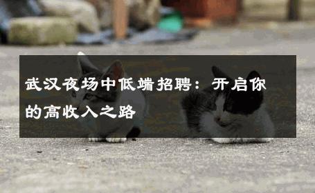 武汉夜场中低端招聘：开启你的高收入之路