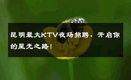 昆明最大KTV夜场招聘，开启你的星光之路！