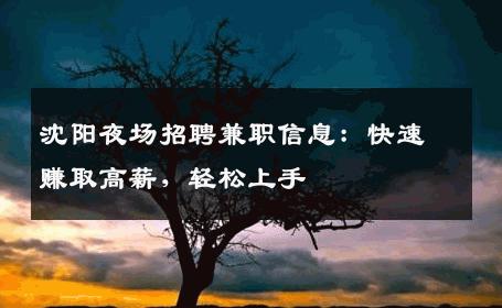 沈阳夜场招聘兼职信息：快速赚取高薪，轻松上手