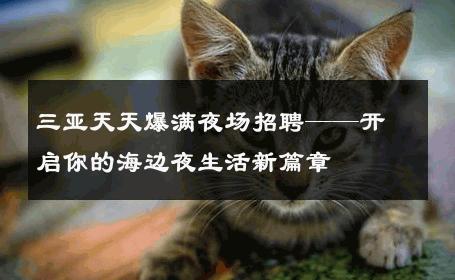 三亚天天爆满夜场招聘——开启你的海边夜生活新篇章