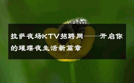 拉萨夜场KTV招聘网——开启你的璀璨夜生活新篇章