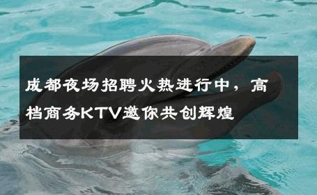 成都夜场招聘火热进行中，高档商务KTV邀你共创辉煌