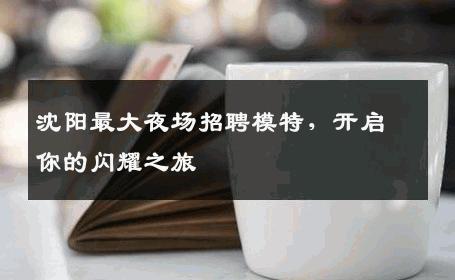 沈阳最大夜场招聘模特，开启你的闪耀之旅