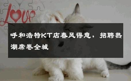 呼和浩特KT店春风得意，招聘热潮席卷全城
