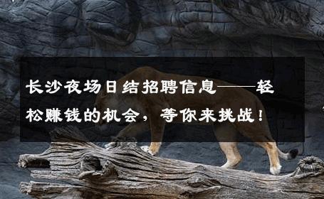长沙夜场日结招聘信息——轻松赚钱的机会，等你来挑战！