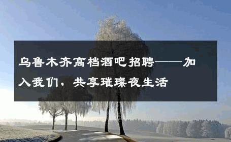 乌鲁木齐高档酒吧招聘——加入我们，共享璀璨夜生活