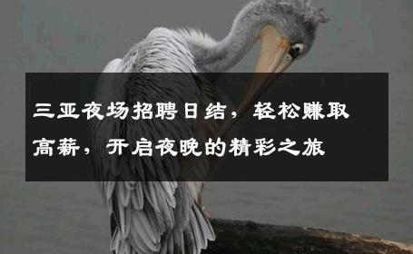 三亚夜场招聘日结，轻松赚取高薪，开启夜晚的精彩之旅