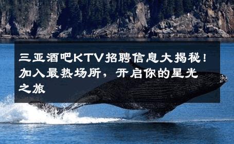 三亚酒吧KTV招聘信息大揭秘！加入最热场所，开启你的星光之旅