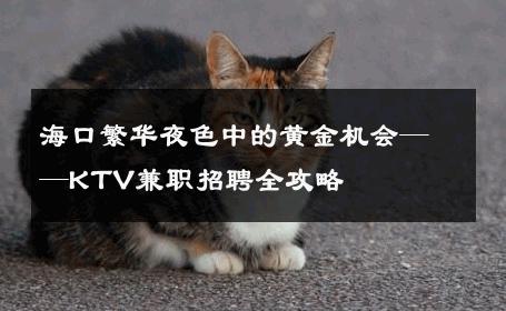 海口繁华夜色中的黄金机会——KTV兼职招聘全攻略