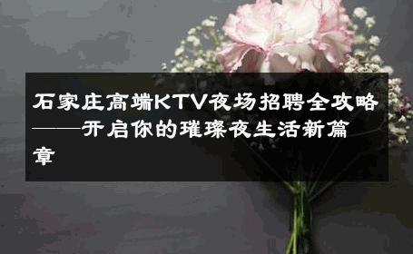 石家庄高端KTV夜场招聘全攻略——开启你的璀璨夜生活新篇章