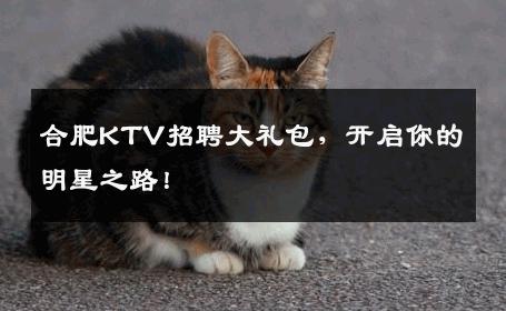 合肥KTV招聘大礼包，开启你的明星之路！