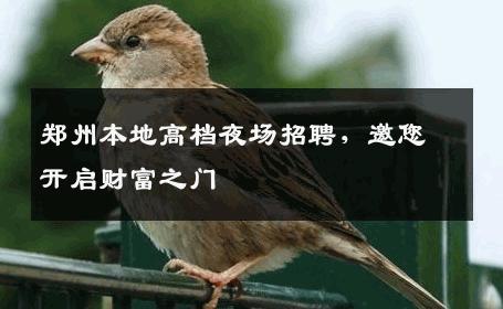 郑州本地高档夜场招聘，邀您开启财富之门