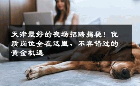 天津最好的夜场招聘揭秘！优质岗位全在这里，不容错过的黄金机遇