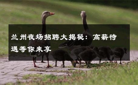 兰州夜场招聘大揭秘：高薪待遇等你来享