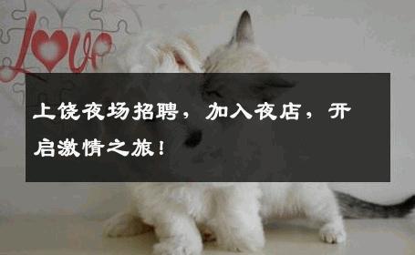 上饶夜场招聘，加入夜店，开启激情之旅！
