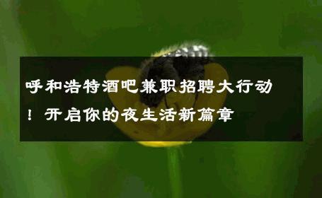 呼和浩特酒吧兼职招聘大行动！开启你的夜生活新篇章