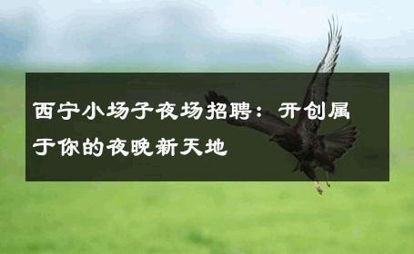 西宁小场子夜场招聘：开创属于你的夜晚新天地