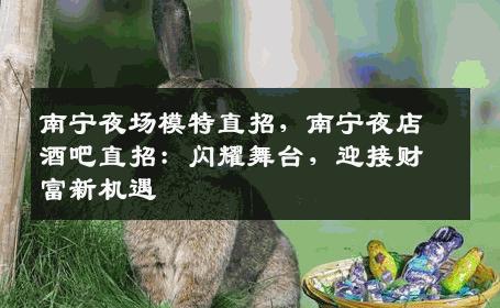 南宁夜场模特直招，南宁夜店酒吧直招：闪耀舞台，迎接财富新机遇