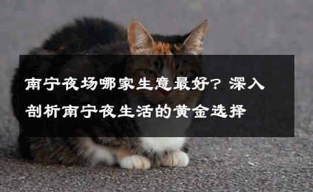 南宁夜场哪家生意最好？深入剖析南宁夜生活的黄金选择