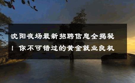沈阳夜场最新招聘信息全揭秘！你不可错过的黄金就业良机