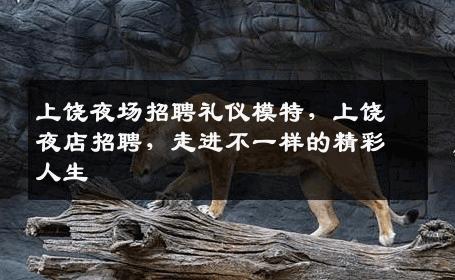 上饶夜场招聘礼仪模特，上饶夜店招聘，走进不一样的精彩人生