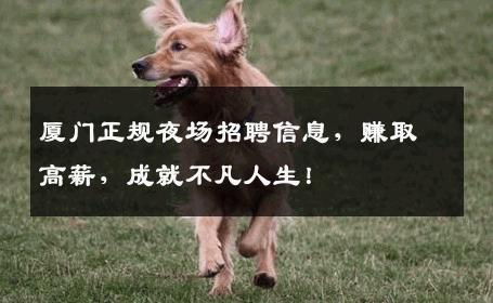 厦门正规夜场招聘信息，赚取高薪，成就不凡人生！