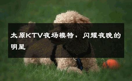 太原KTV夜场模特，闪耀夜晚的明星