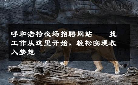 呼和浩特夜场招聘网站——找工作从这里开始，轻松实现收入梦想