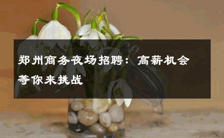 郑州商务夜场招聘：高薪机会等你来挑战