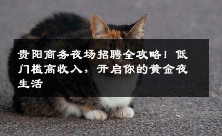 贵阳商务夜场招聘全攻略！低门槛高收入，开启你的黄金夜生活
