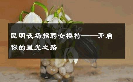 昆明夜场招聘女模特——开启你的星光之路