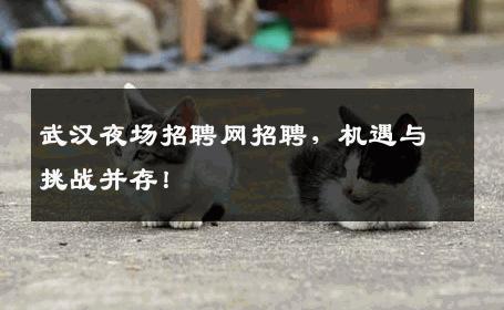 武汉夜场招聘网招聘，机遇与挑战并存！