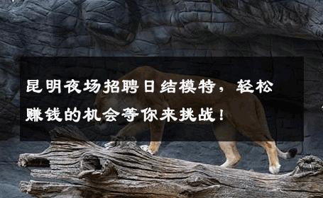 昆明夜场招聘日结模特，轻松赚钱的机会等你来挑战！