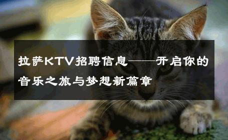 拉萨KTV招聘信息——开启你的音乐之旅与梦想新篇章