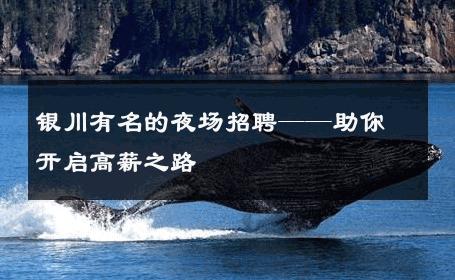 银川有名的夜场招聘——助你开启高薪之路